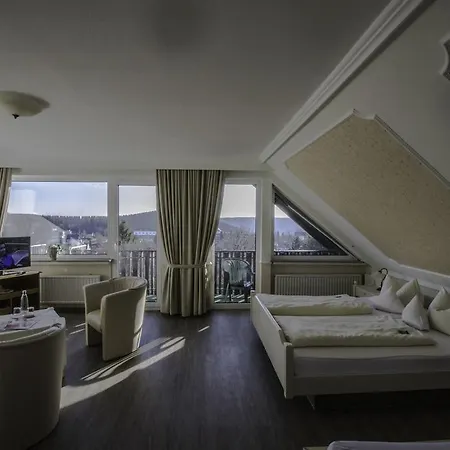 Hotel Schneider 3*