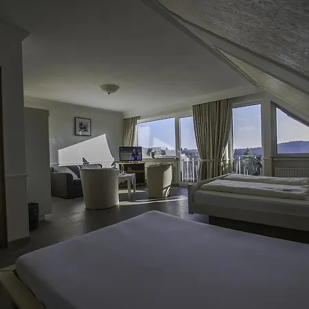 Schneider Hotel