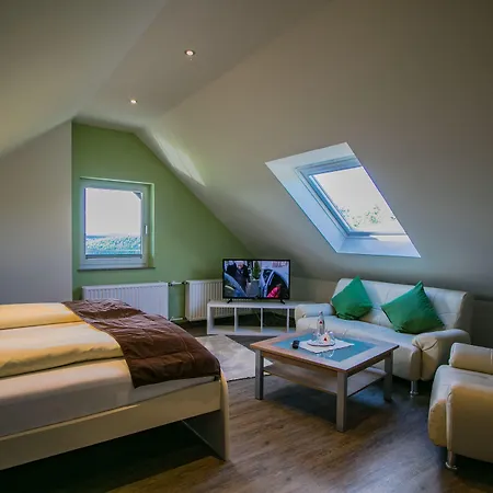Schneider Hotel 3*