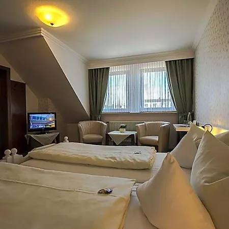 Schneider Hotel 3*