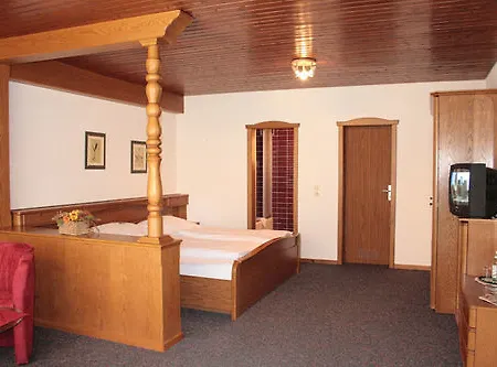 Schneider Hotel 3*