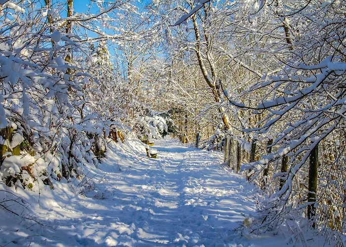 Szálloda Schneider 3*